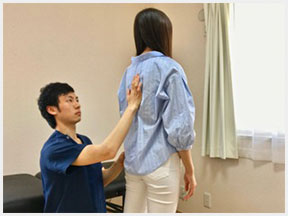 体の組織別状態検査